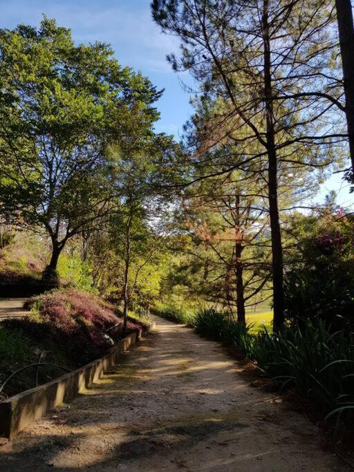 Recanto Dos Beija Flores, Chale Lantana C Monte Alegre do Sul Dış mekan fotoğraf